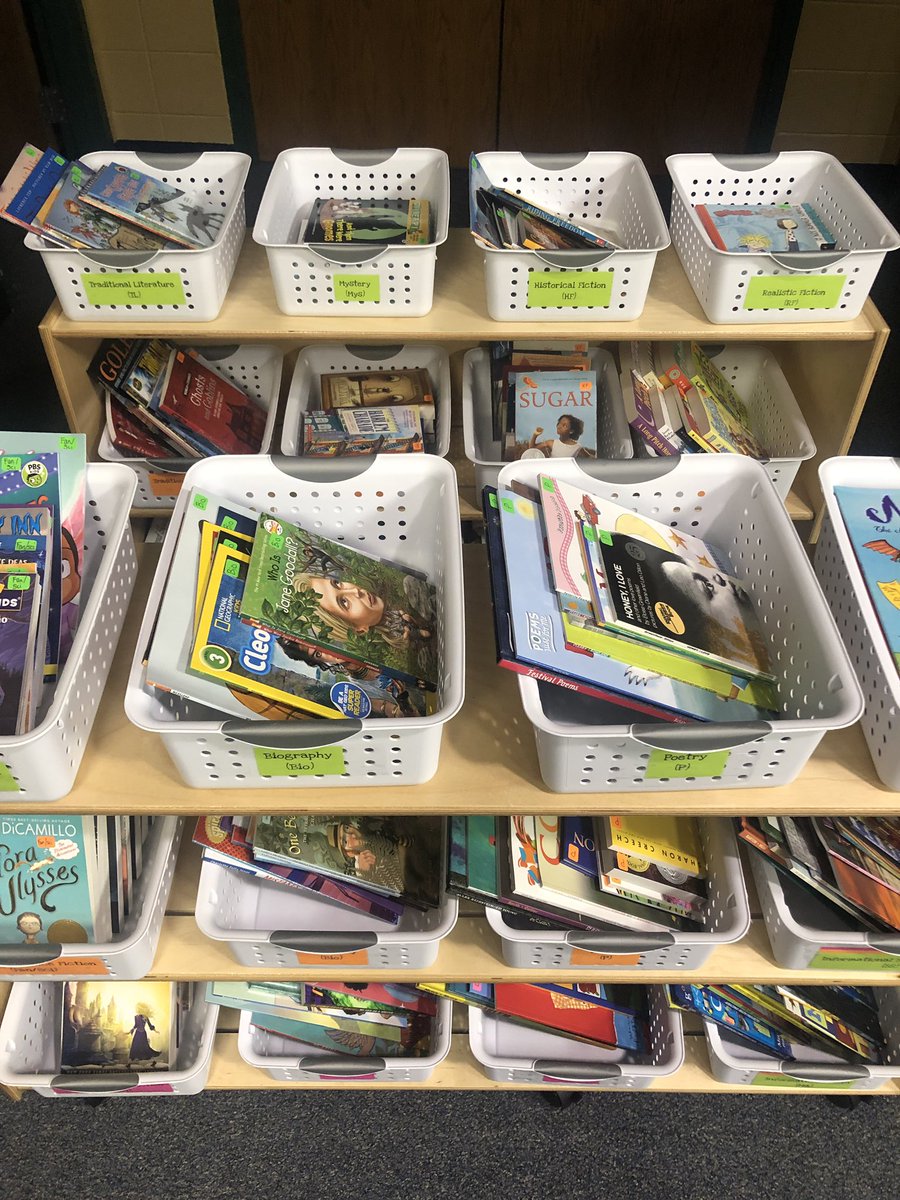 MP4teacher's tweet photo. Had a great day at school organizing our shared classroom library and student math materials with my teaching partner, @caitlinemcclure . Big things coming to MP 4th grade this year!πβοΈ @mpqripon @riponschools #ripon4th https://t.co/O5sxwwtlP5