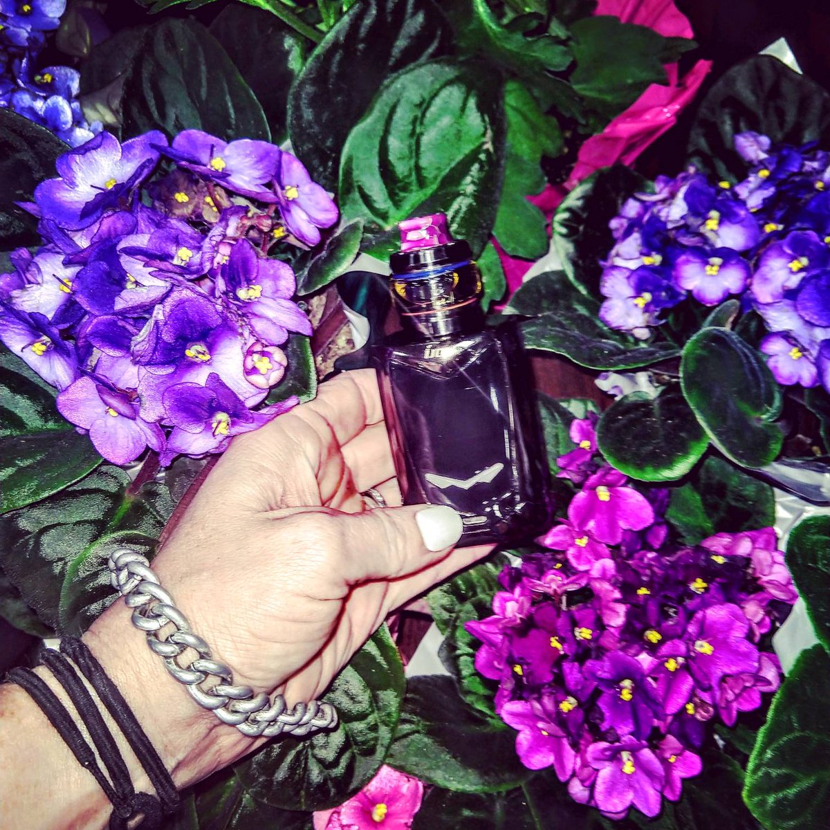 AmnCarl1's tweet image. Vaping
App
For
Friends
Living
Everywhere
#vafflemeaning #tagfunction: @cali_kush70 @Mrs_Math420 @Cotton_Addict @Bmanvapes //See the original post,please click:vaffle.com/wap/postdetail…