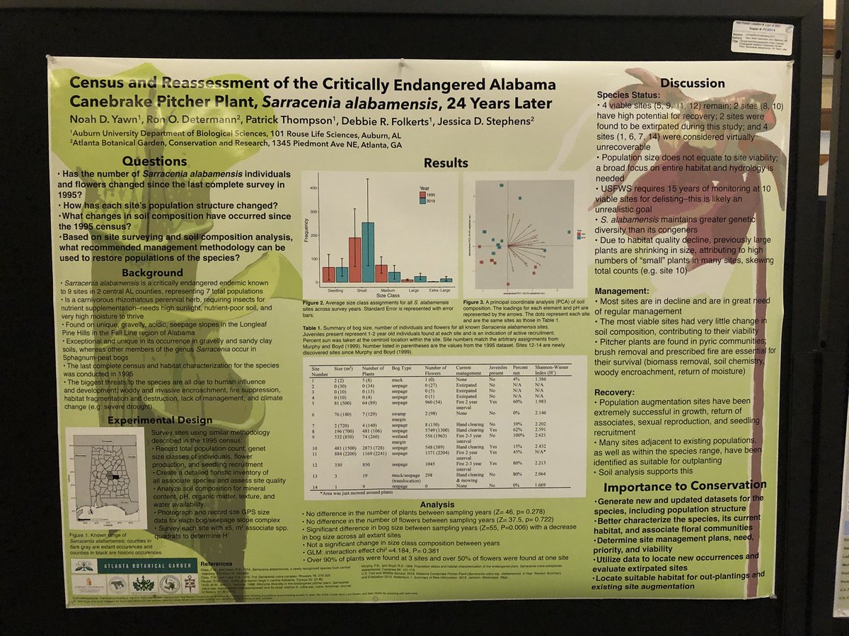 First tweet! Here is my poster presentation from this year’s Botany Conference from my summer internship with ABG! #botany2019 #sarracenia #conservationbiology #plantconservation #atlantabotanicalgarden