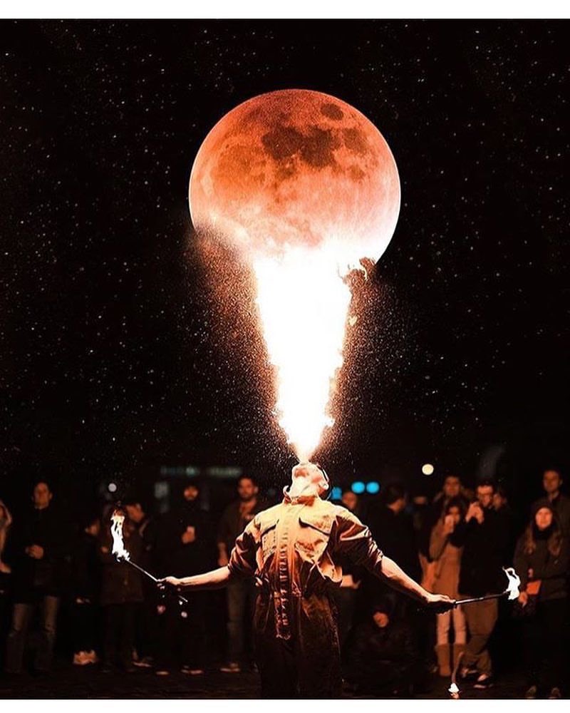 vivemalecture's tweet image. 