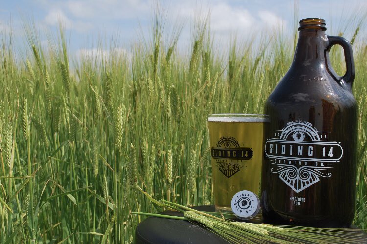 The barley growing season is going well.  Crops are coming along nicely.  We hope to be harvesting our barley crop early September and look forward to providing a locally produced product to be used in our Siding 14 beers for you to enjoy.