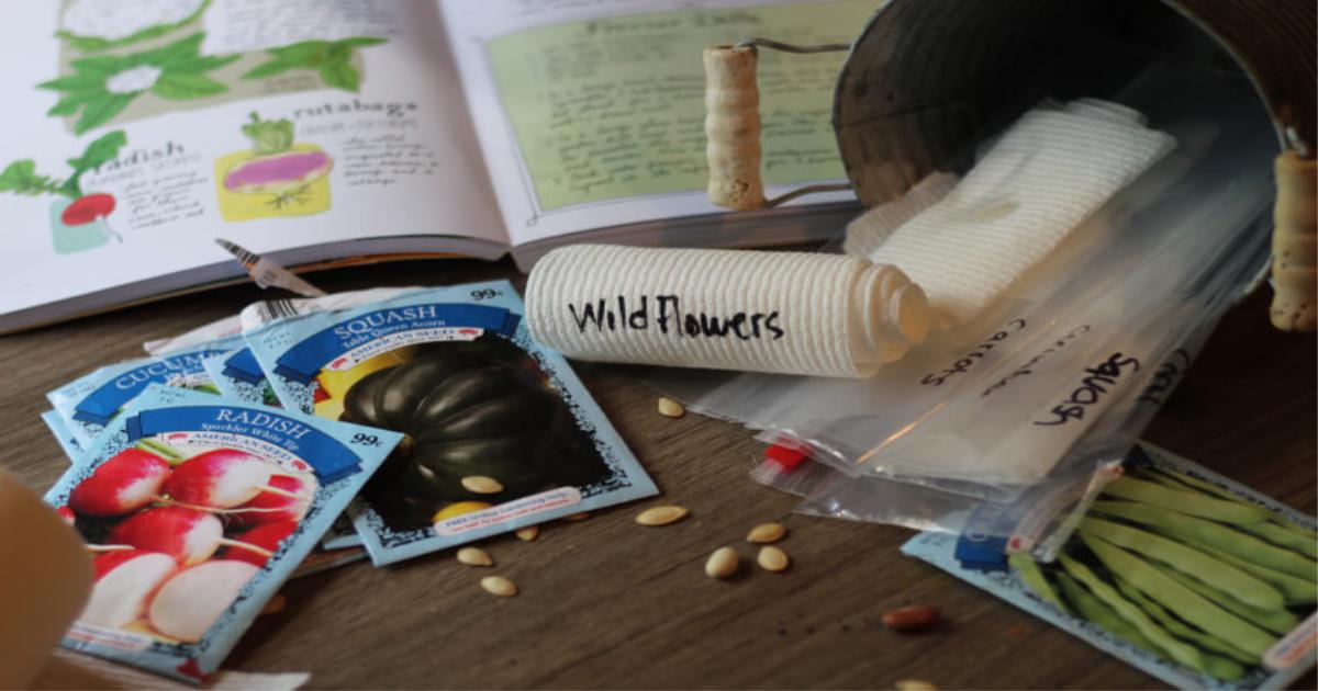 How to Easily Make Fun Seed Tape With Kids buff.ly/2H5Ah4Z #ihsnet #homeschool #homeschooling