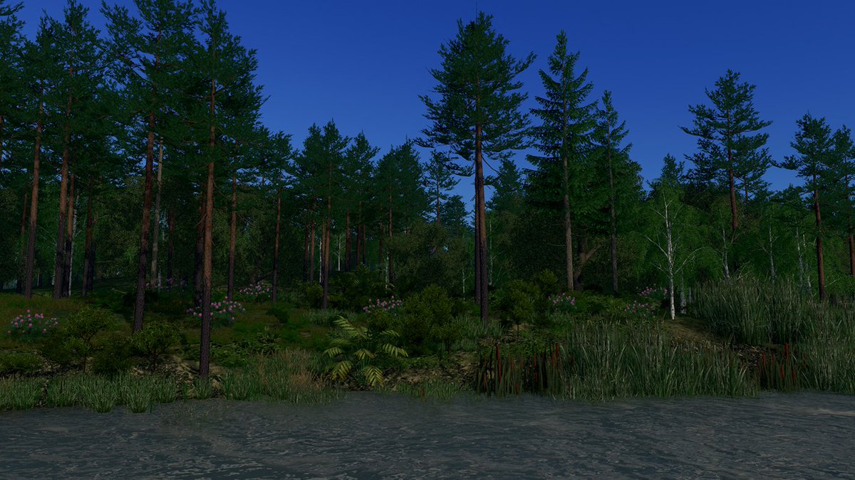 MrMaison1's tweet image. Finally, Scots Pine 3 is now on the Workshop! 🌲 Steam Link steamcommunity.com/sharedfiles/fi… @Cities_PDX @ColossalOrder