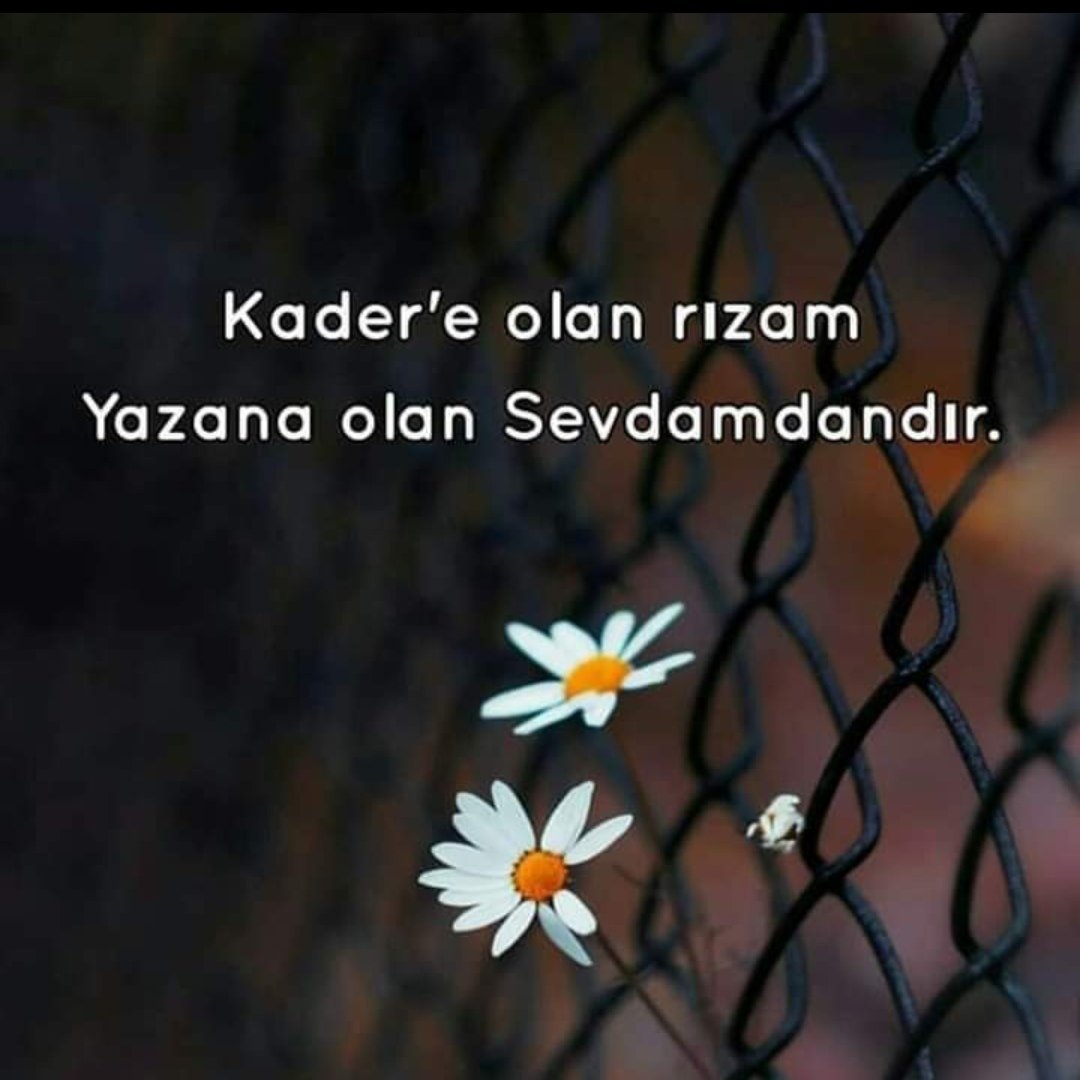 Âlem Âdeme sığdı da...❗️ 
Âdem Âleme sığmadı...❗️
Huzurla...