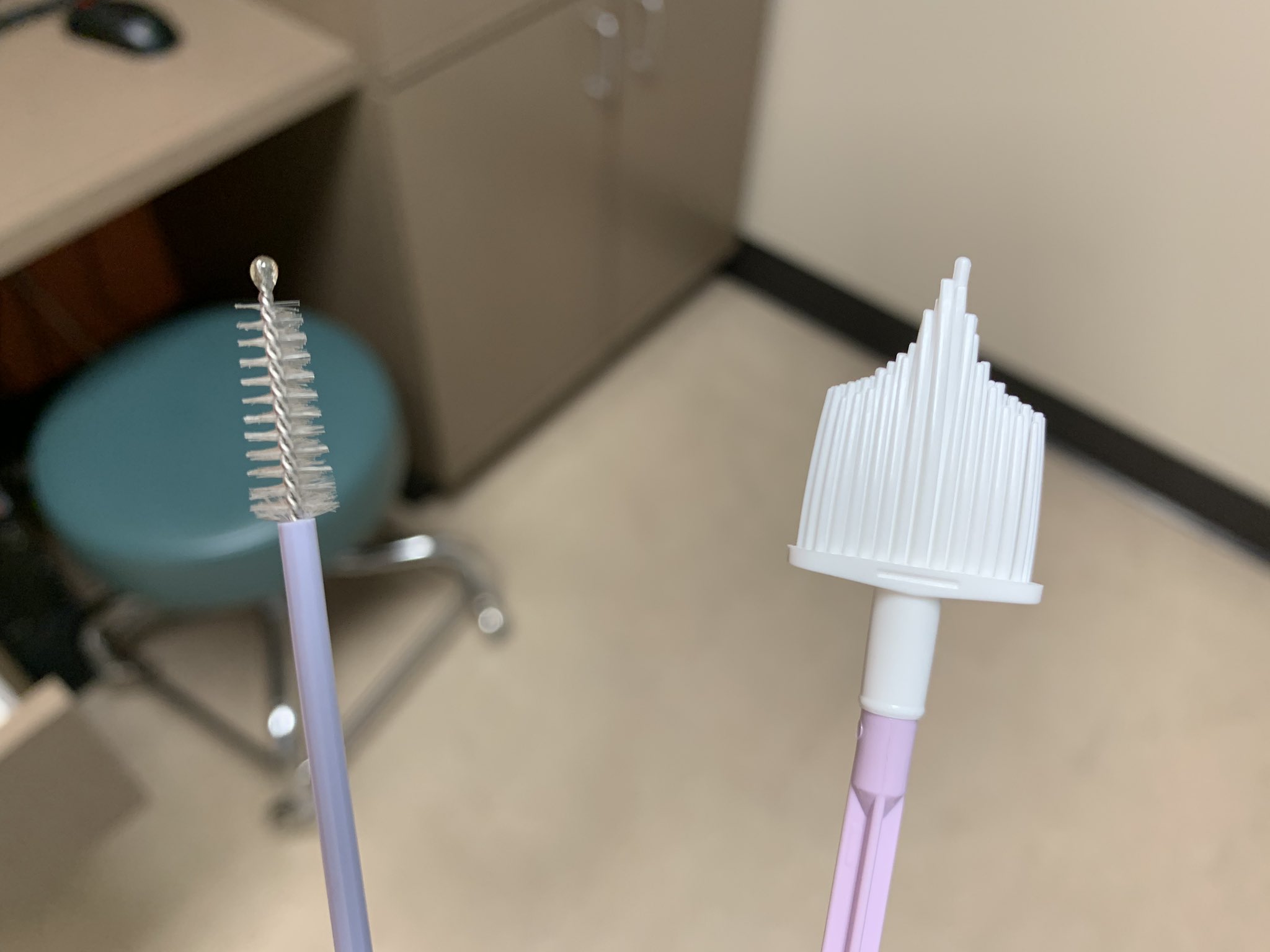 Pap Smear Brush And Broom edu.svet.gob.gt