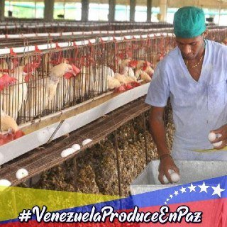 Feliz Tarde
#VenezuelaProduceEnPaz 
@tuiteros_vzla

@Kstroglezkrmn

@Jonathancolm

@IsaacGo38205443
 
@teran58

@celest_miel

@Kiribin2

@Socialista2

@mjtrezza1

@MmsrJohan

@GabrielaRZG
 
@AcrossPSUV

@LeidyNavas9

@moyawr

@CachiTuitero

@luibustilloso

@teran58 

@Patria_ve