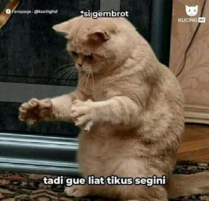 Katy 🐰 (@khdjhz) Twitter