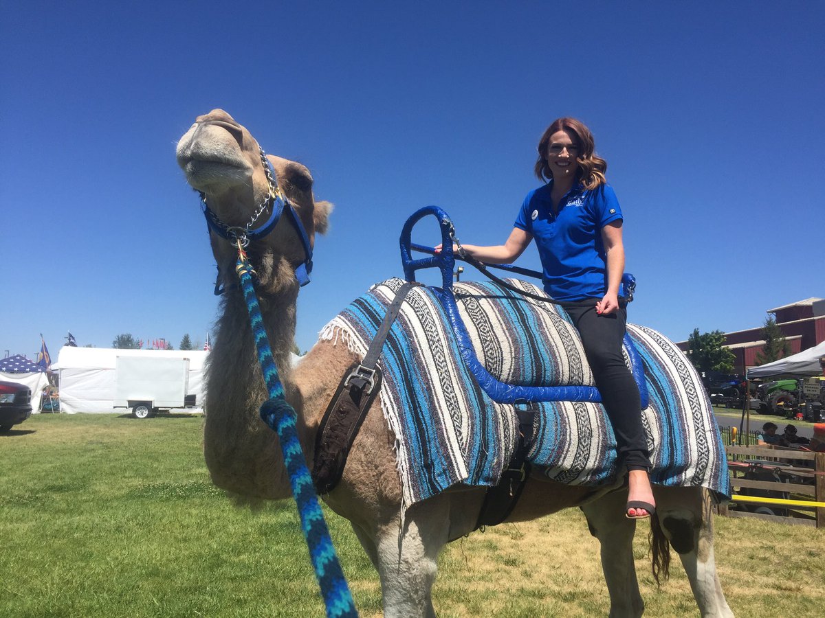 There’s only one acceptable caption for this: “HUMP DAY!” @TheCODaily