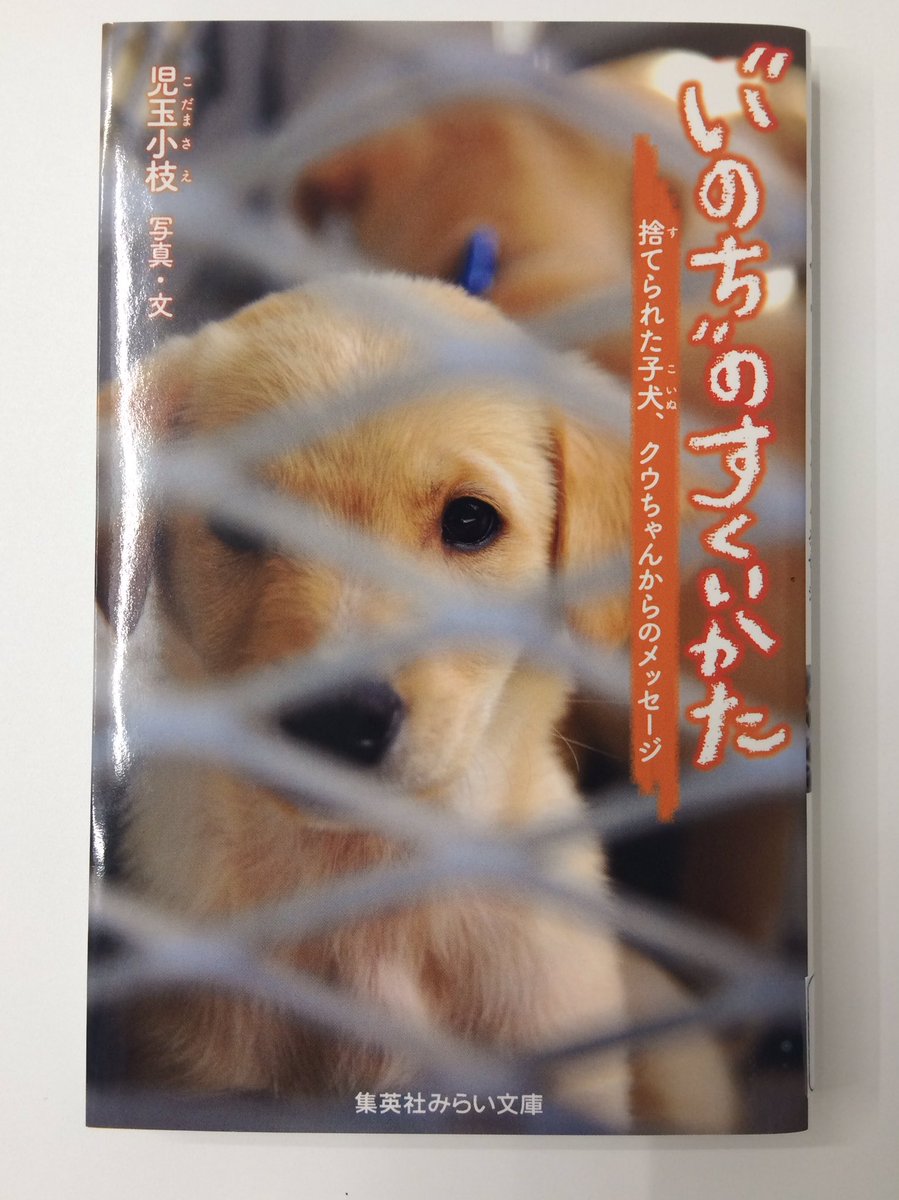 集英社みらい文庫 夏のオススメ本 動物好きなら いのち のすくいかた 捨てられた子犬 クウちゃんからのメッセージ 児玉小枝 写真 文 小さな命を守るため 自分にできることってなんだろう 読書感想文にもおすすめ 集英社みらい文庫 夏のオススメ本 動物好きなら いのち のすくいかた 捨てられた子犬 クウちゃんからのメッセージ 児玉小枝 写真 文 小さな命を守るため 自分にできることってなんだろう 読書感想文にもおすすめ