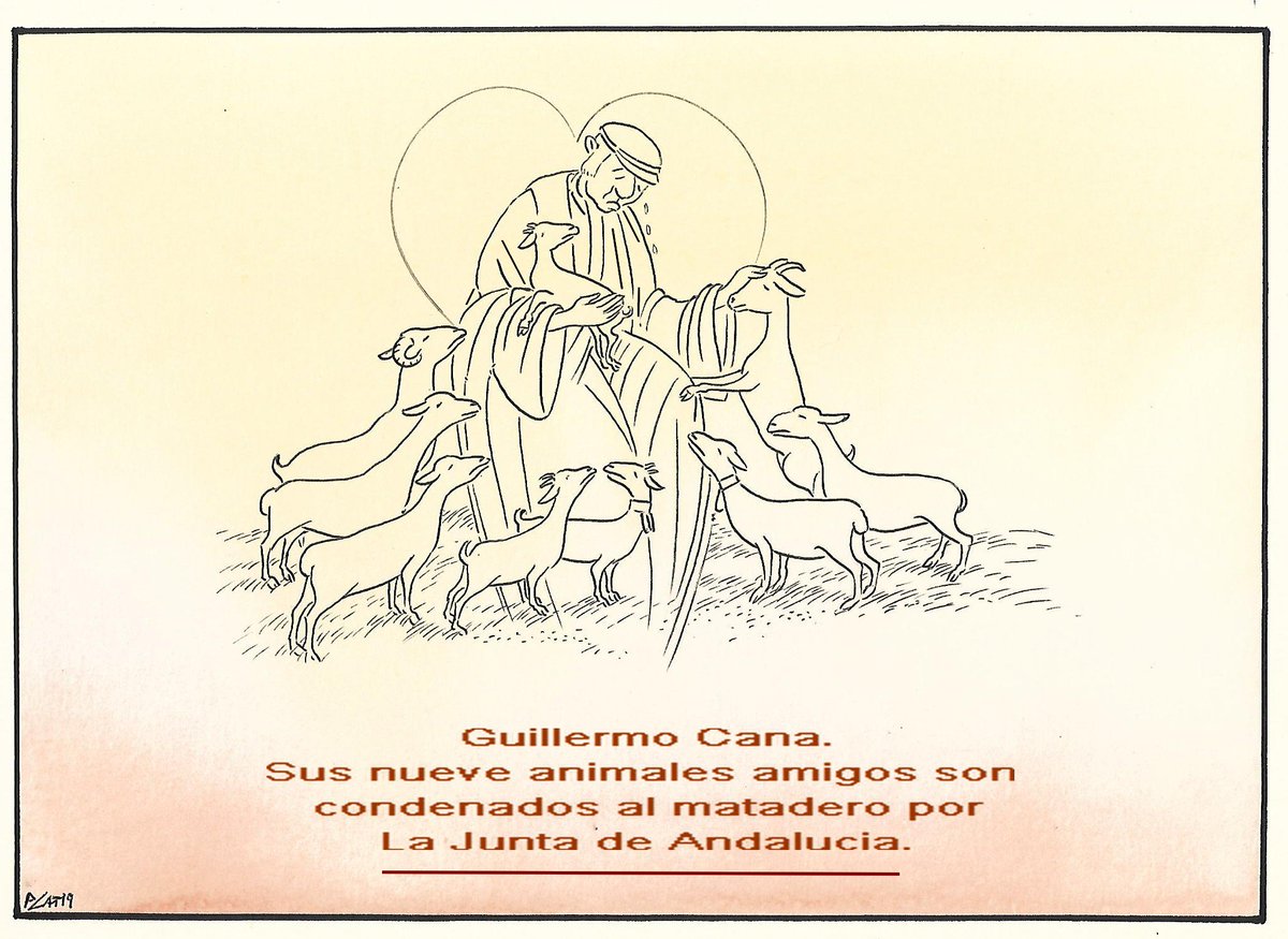 pacocatt's tweet photo. Mi viñeta de hoy jueves 1 de agosto de 2019.
Cuatro ovejas, tres chivos, una cabra, un carnero...y un corazón lleno de dolor, porque se los pueden matar. 
 Este triste caso recuerda un poco a la bíblica figura del Buen Pastor, que cuida y ama a su rebaño hasta la muerte. https://t.co/OutdrjPErH
