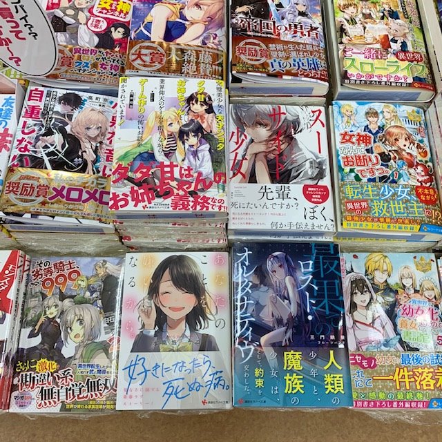 成文堂南浦和店 本日発売 講談社ラノベ文庫 完璧美少女な天才ショタがダダ甘お姉ちゃんと業界仰天のゲームを創りながらゲーム作りの怖いお話を聞かされています スーサイド少女 最果てのロスト オルタナティヴ あなたのことを 嫌いになる