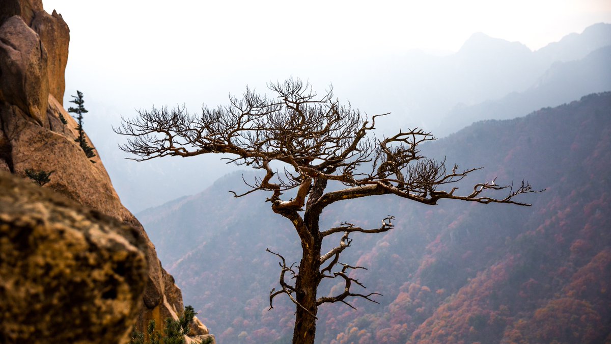 CalSnape's tweet photo. A few of my favourite photos from Seoul and Seoraksan in Korea last year. I need to come back and see more of this beautiful country! (I'll have to plan it around a BTS performance) #PhotosForVante https://t.co/bLAti7VbVA