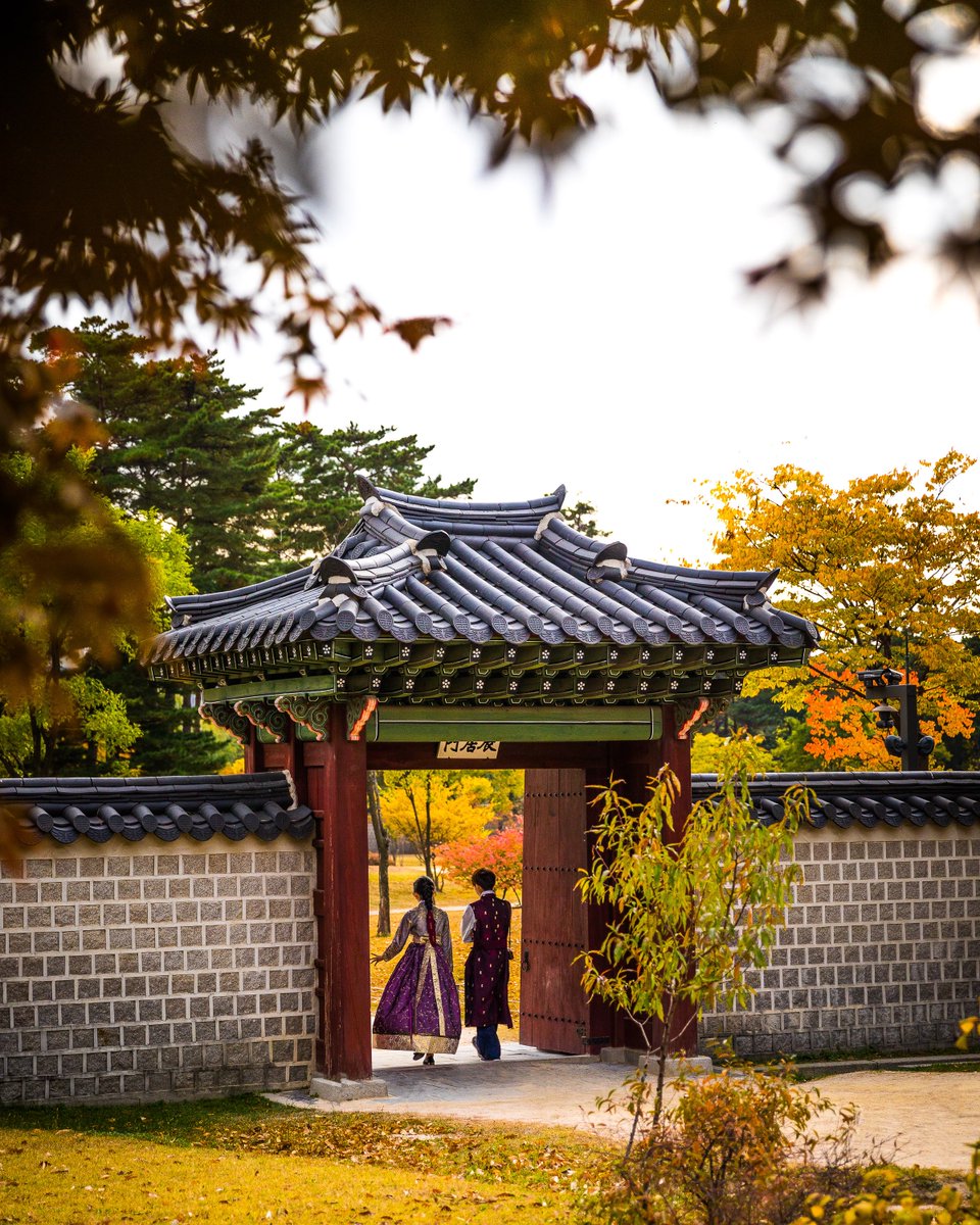 CalSnape's tweet photo. A few of my favourite photos from Seoul and Seoraksan in Korea last year. I need to come back and see more of this beautiful country! (I'll have to plan it around a BTS performance) #PhotosForVante https://t.co/bLAti7VbVA
