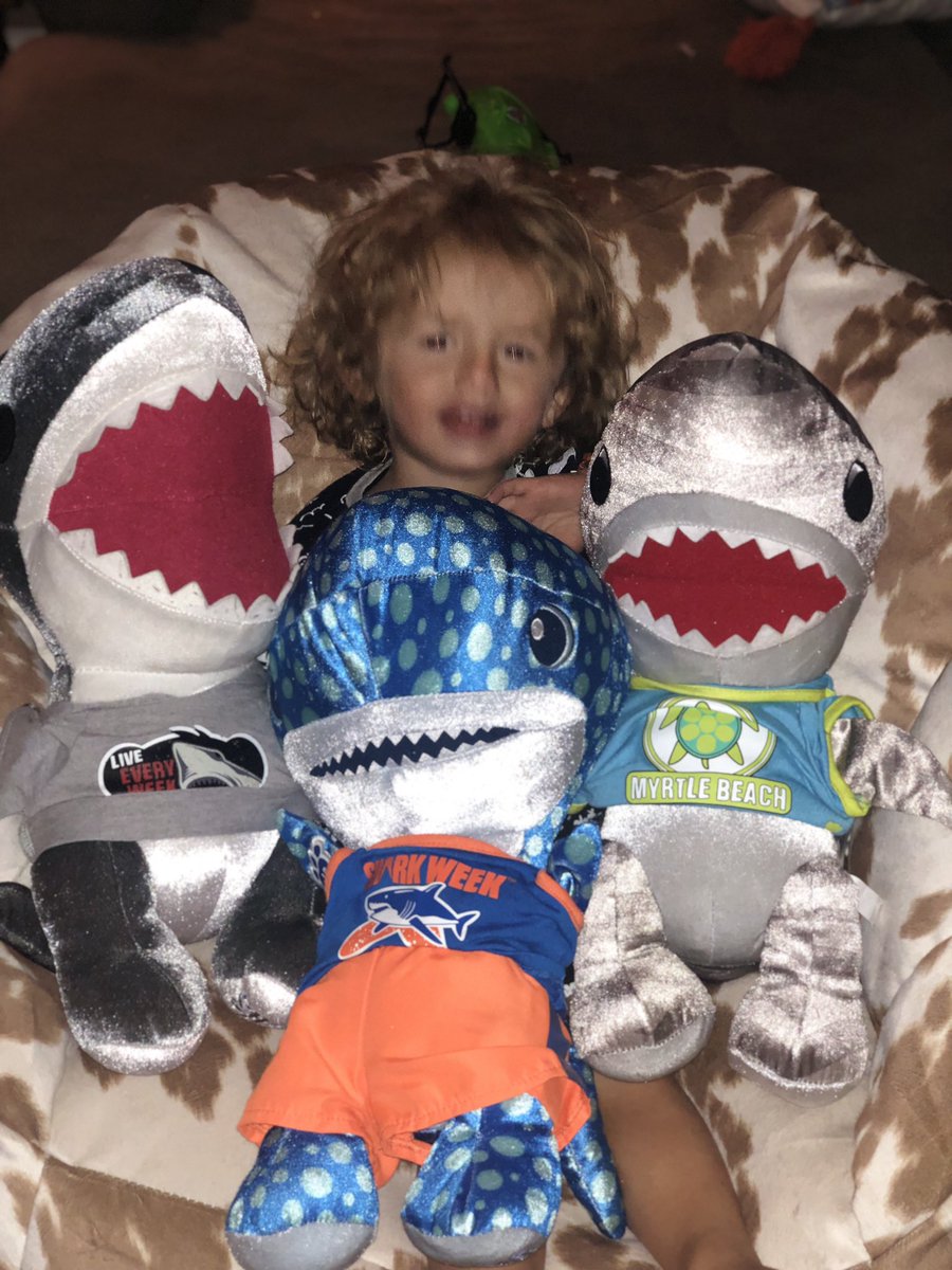 We are ready for <a href="/SharkWeek/">Shark Week</a> tonight. Little man sure loves his sharks. #SharkWeek #SharkAfterDark #Sweepstakes
