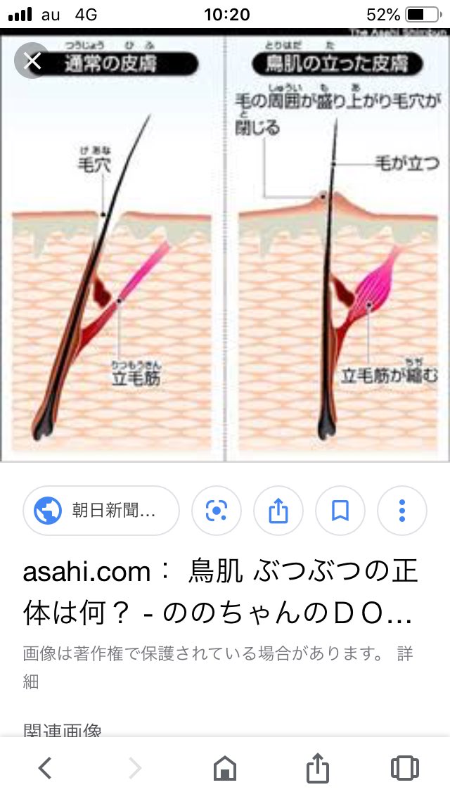 毛穴は開閉するかしないかで議論勃発 皮膚科で毛穴開いてると言われた 開閉するメカニズムが存在しない など Togetter