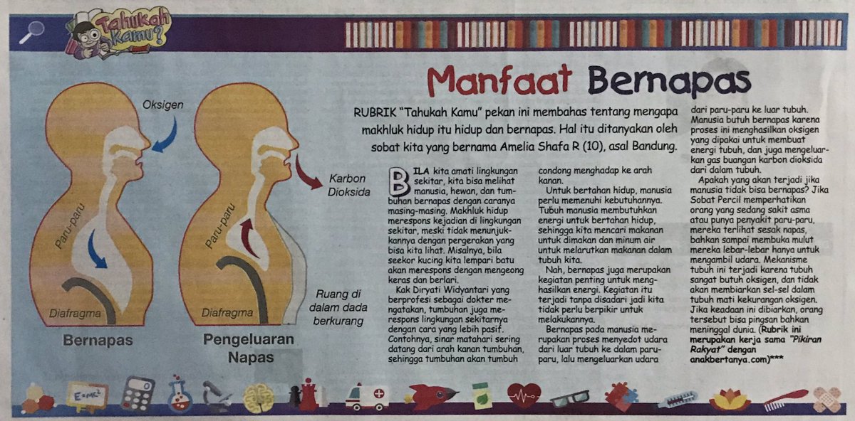 AnakBertanya's tweet photo. Ada anak #bertanya: Mengapa manusia bernafas?
Ini jawaban dari dokter @dirwid , yang dimuat di #PRKecil #115 https://t.co/uXHDFZMTiG