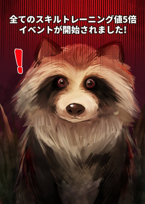 ドゥガルドアイルのタヌキ 