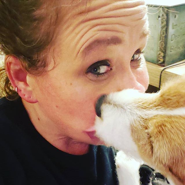 SeekingSlender's tweet photo. I think we're both starting to realize how little I'm at home these days. I'm exhausted. He really wants attention. Now he's on the floor playing tug-a-ball with #TheSecurityGuy. https://t.co/M0vFhjTnFF https://t.co/HbwmcSri9a