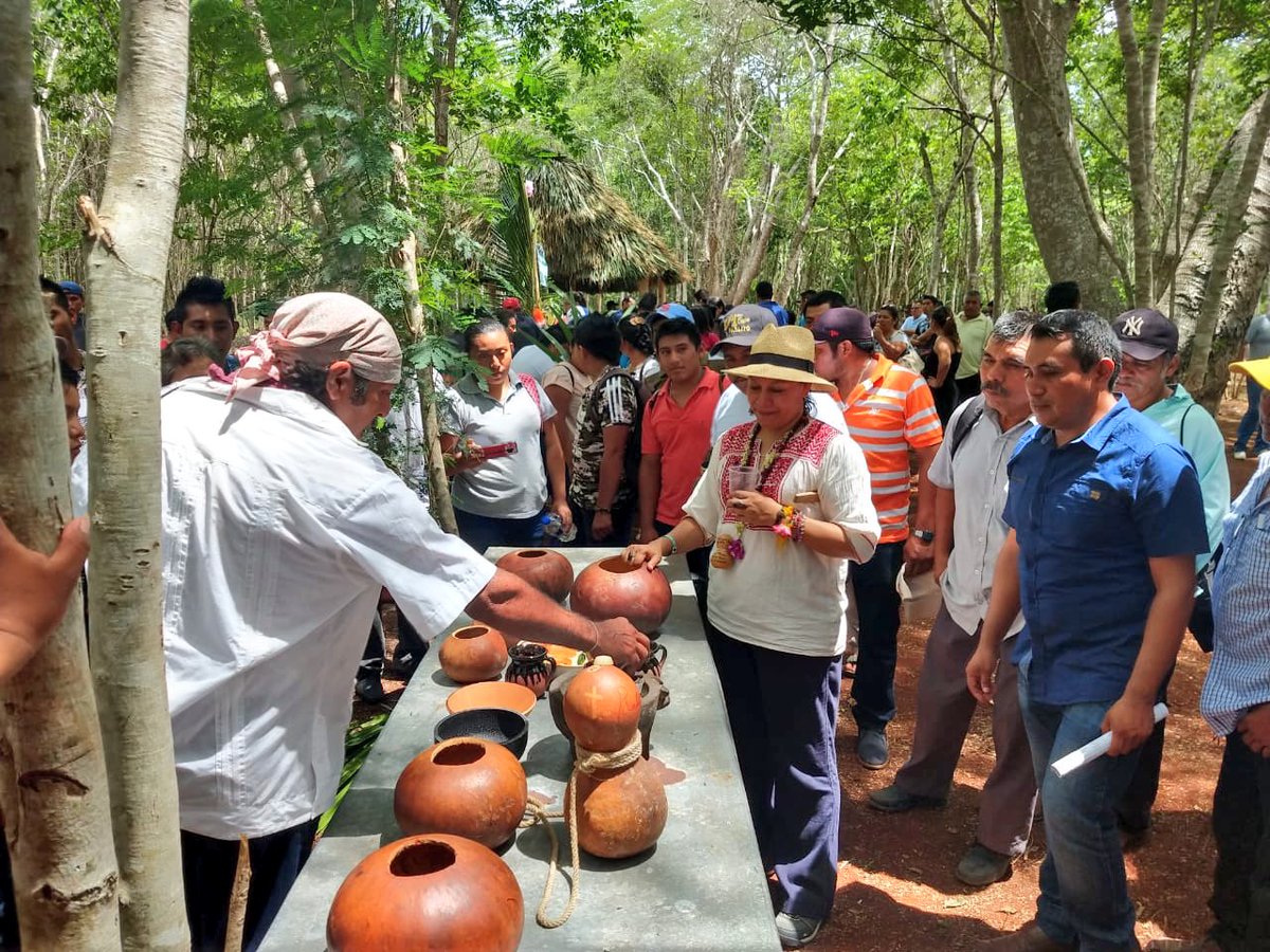 Mary_Luisa_AG's tweet photo. Me reuní con sembradoras y sembradores de CAC’s de #Bulukax hicimos recorrido por vivero, composta y muestra de productos locales. 

@SemVidaMx está cambiando la vida en nuestras comunidades. 💚 

📍José María Morelos, Quintana Roo.

#QueremosBienestar https://t.co/8hjs3lC0ah
