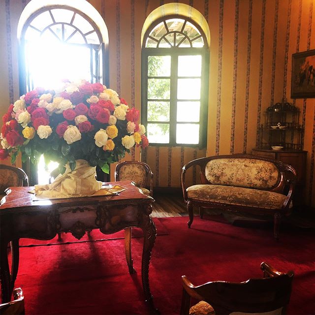 jetiquette's tweet image. Visiting the home of the most beautiful Ecuadorian 🌹 roses. #visitquito