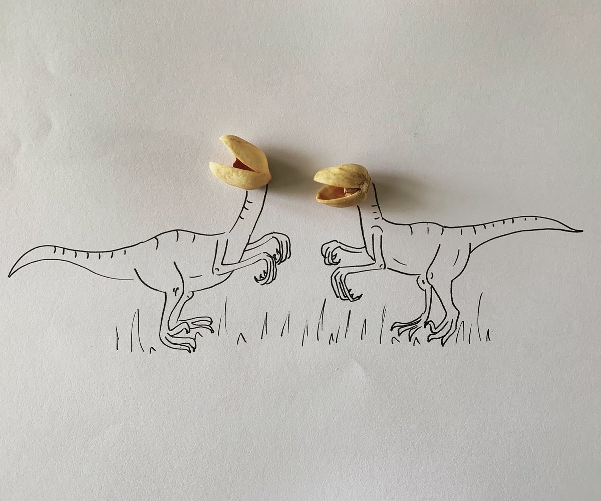 #raptor #dino #pista