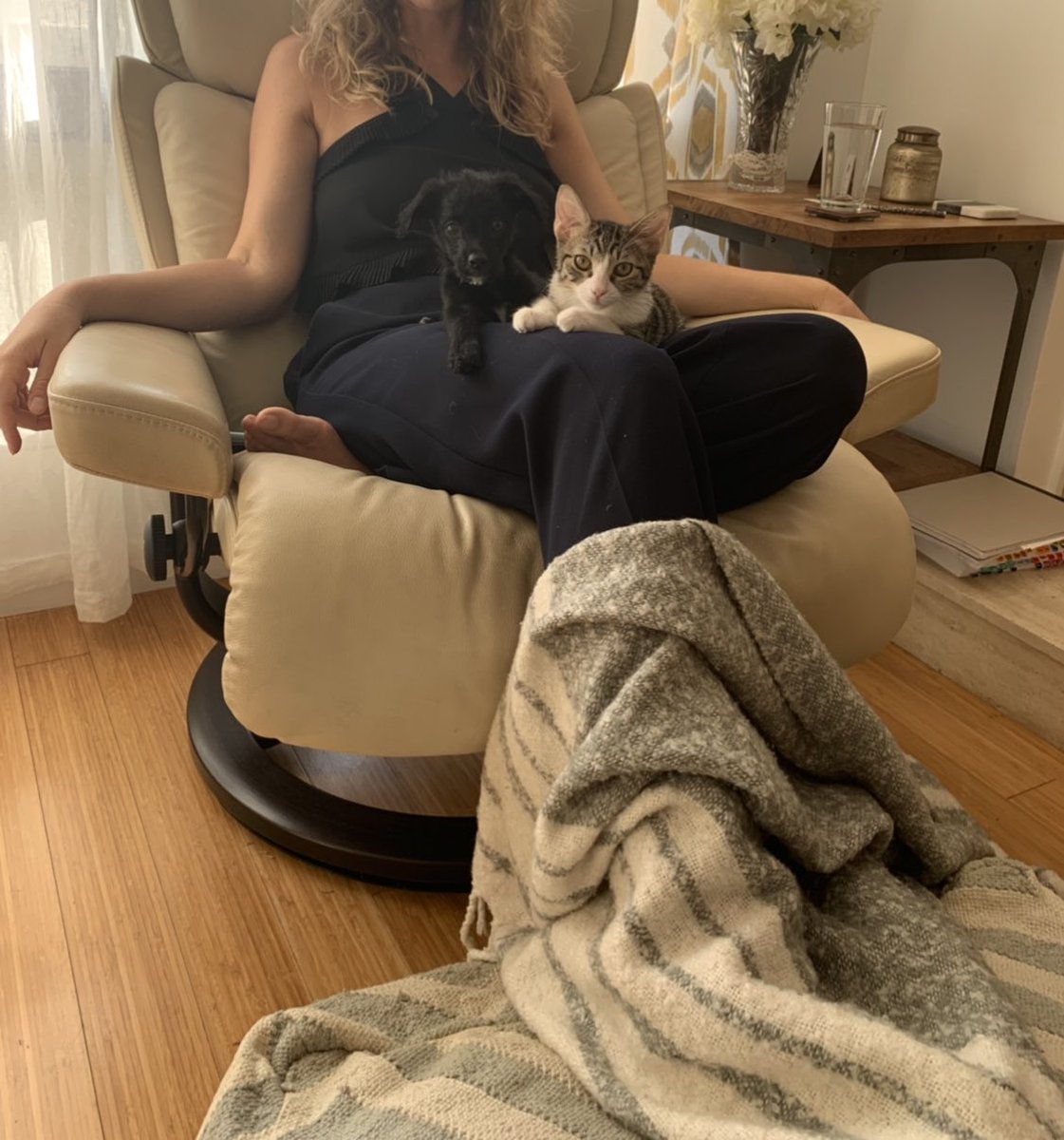 My therapist broke up with her boyfriend and impulsively adopted two animals and that’s our 2019 mood