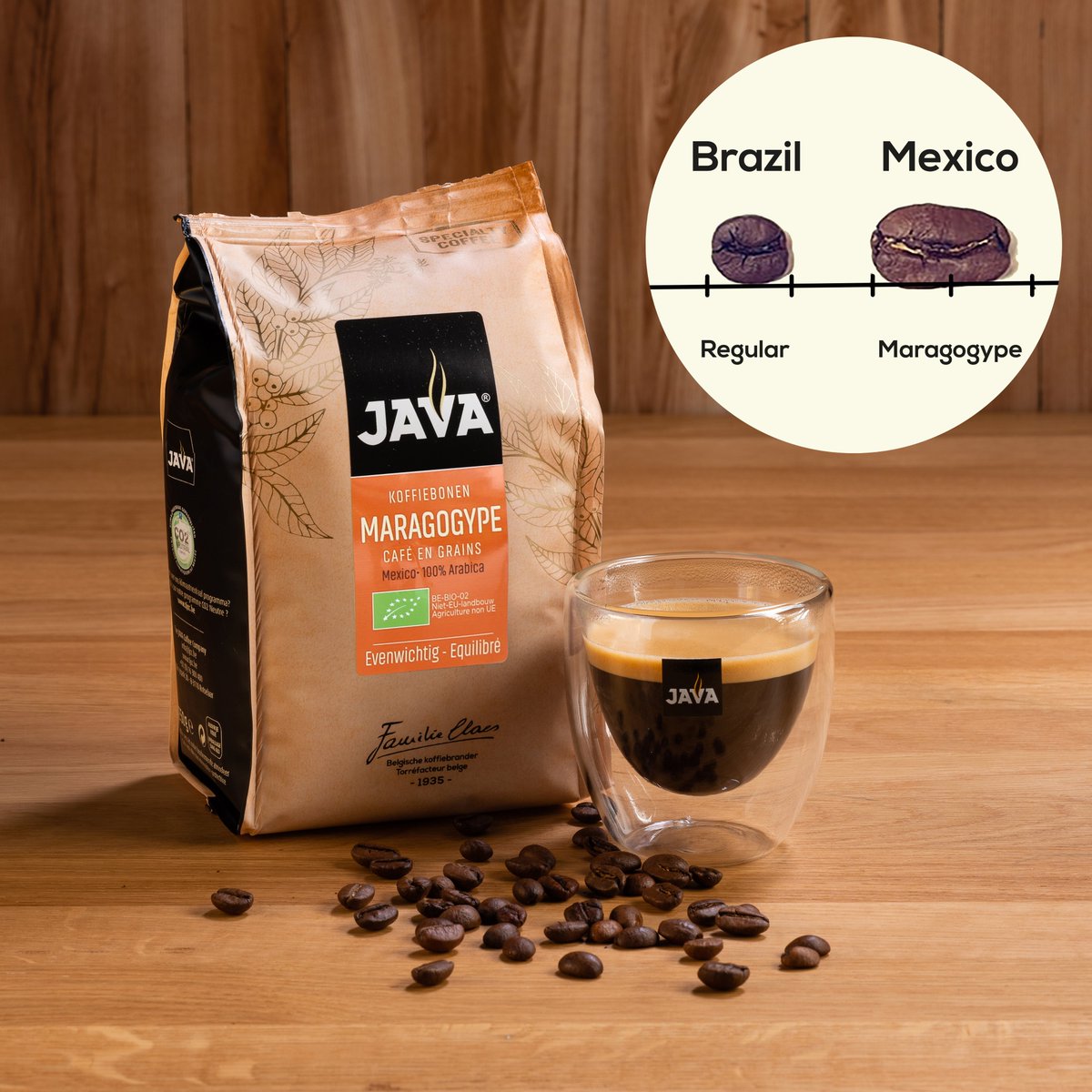 Onze nieuwe Maragogype Mexico onderscheidt zich door zijn uitzonderlijk grote koffiebonen, die wel twee keer zo groot zijn als gewone bonen! Maragogype-struiken produceren de grootste koffiebonen ter wereld, die ook wel olifantbonen worden genoemd. 
tjcc.be/nl/nieuw-Mexico
