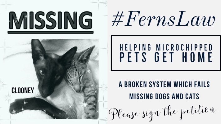 MakeChipsCount to Reunite Pets tweet media