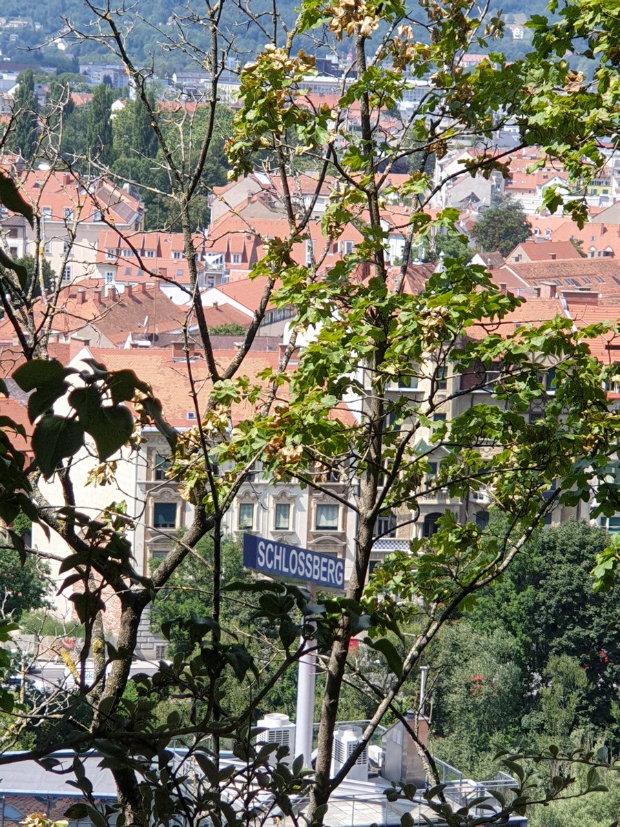 93. Spot the river, the cafe in the river (it's so gorgeous!) and street art that's probably telling me, "Monsters ahead" but DO I LISTEN???  #Schlossberg