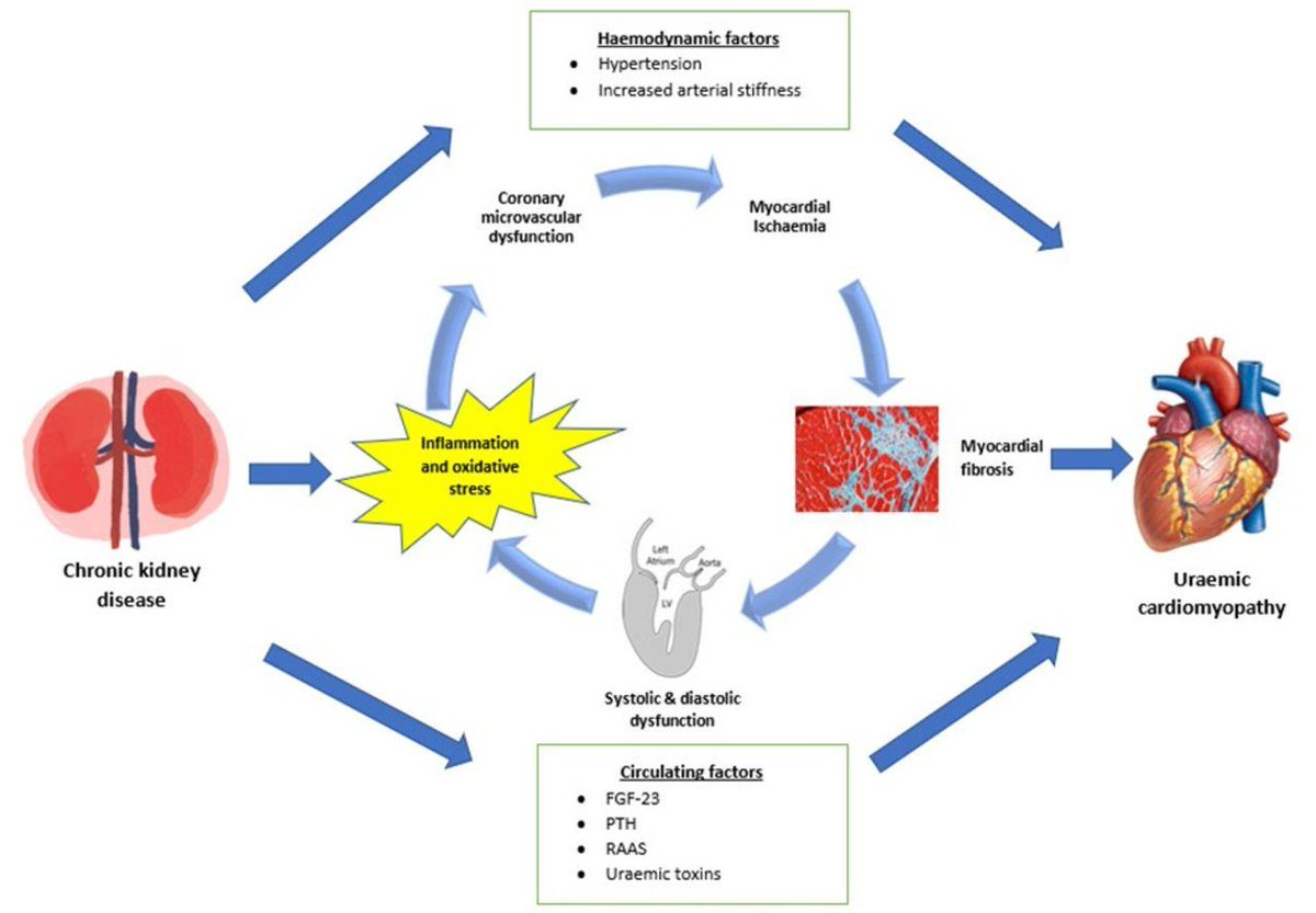 bioanalytische und biochemische labormethoden