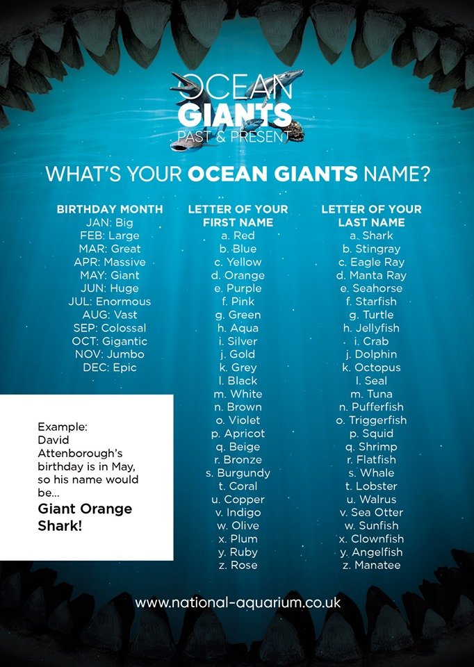 Twitter-এ National Marine Aquarium: Twitter-এ National Marine Aquarium: