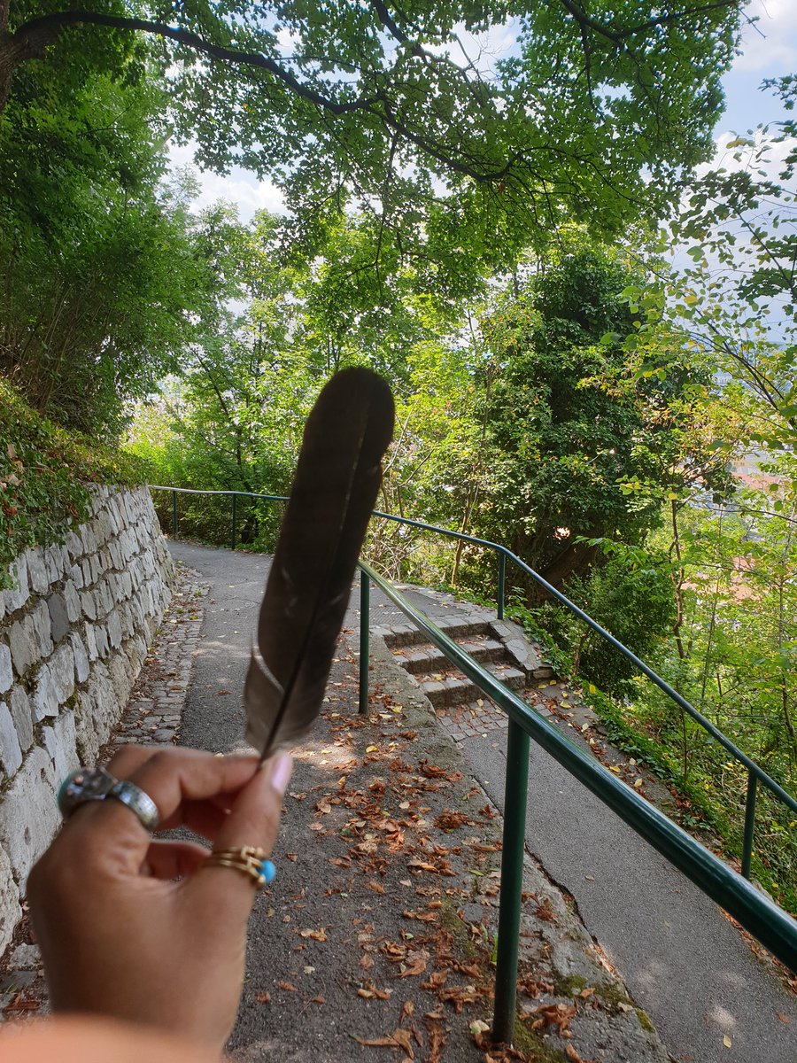 95. Spotted a 2nd guy (the first one disappeared), who smiled lightly and walked past. I picked a feather, jumped, then sat to think about my life choices.