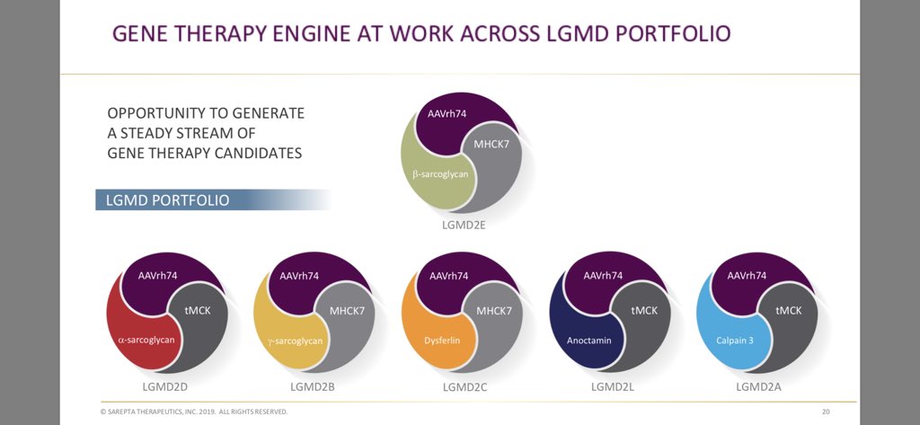 Stock_Truth's tweet photo. $SRPT vector (top), promoter (bottom-right), transgene (bottom-left) for the LGMD programs:
SRP-9003 (#LGMD2E)
SRP-9004 (#LGMD2D)
SRP-9005 (#LGMD2C)
SRP-9006 (#LGMD2L)
CAPN-3 (#LGMD2A)
MYO-201 (#LGMD2B) https://t.co/QeDPLlOrqw
