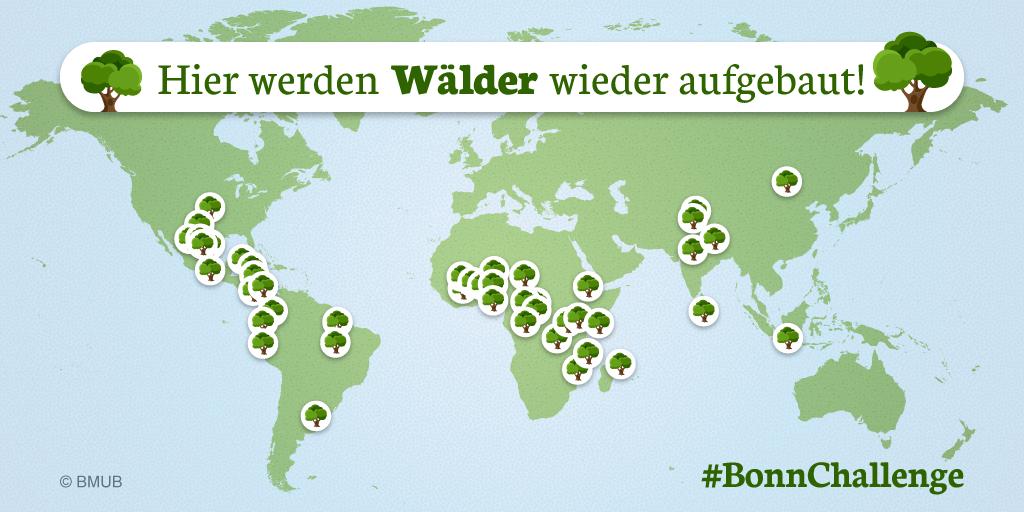 _BMUKN's tweet photo. Wir bringen globale Wiederbewaldung voran, betont StS @JochenFlasbarth im @Tagesspiegel. Dazu unterstützen wir #BonnChallenge, der sich Länder freiwillig anschließen können – ein Erfolgsmodell, mit dem bis 2030 350 Mio Hektar wiederbewaldet werden sollen. https://t.co/bjQEnJTN2f https://t.co/p3171PX7aK