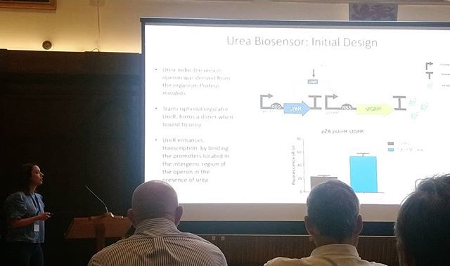 EFB_EBBS's tweet image. Looking to develop biosensors for renal biomarkers, @silakose2 is using #synbio logic gates to get better sensitivity @sekerlab @bilkentunam #Dbio19 #logiccircuits ift.tt/2MvdVhy