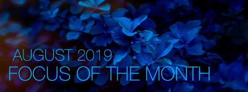 August: "The Divine Qualities of Krishna"... Plus, drop-in days with Sharonji and Davidji at Omega Institute! India 300hr TT with Rima and Jules! Ayurveda Retreat with Gabriel Cousens MD! and more! conta.cc/2SVxQYf