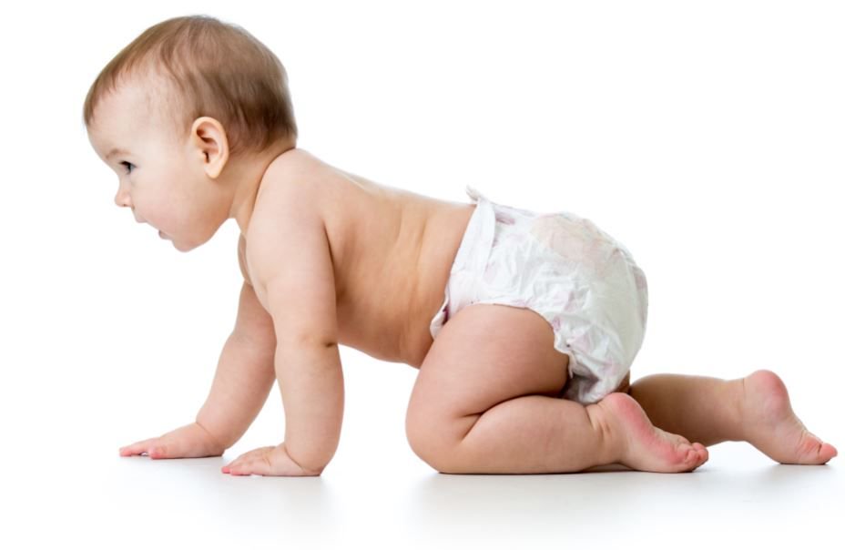 наколенники для ползания на четвереньках. дошкольник на четвереньках. малыш ползет. наколенники sevi bebe. ползать на четвереньках.