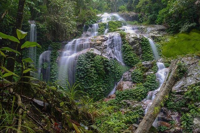 anggra1182's tweet photo. This hidden paradise in Kerinci, Jambi called Talang Kemulun Waterfall is one of @lakopve favorite views. What do you think?
.
.
#wonderfulindonesia
#indtravel
#indonesiatourism
#visitindonesia
#genwi
#genwiSG2019
#singapore
#batam
#bintan
.
.
@indtravel… https://t.co/i2b0WuiSAm https://t.co/pLGjxnd8D6