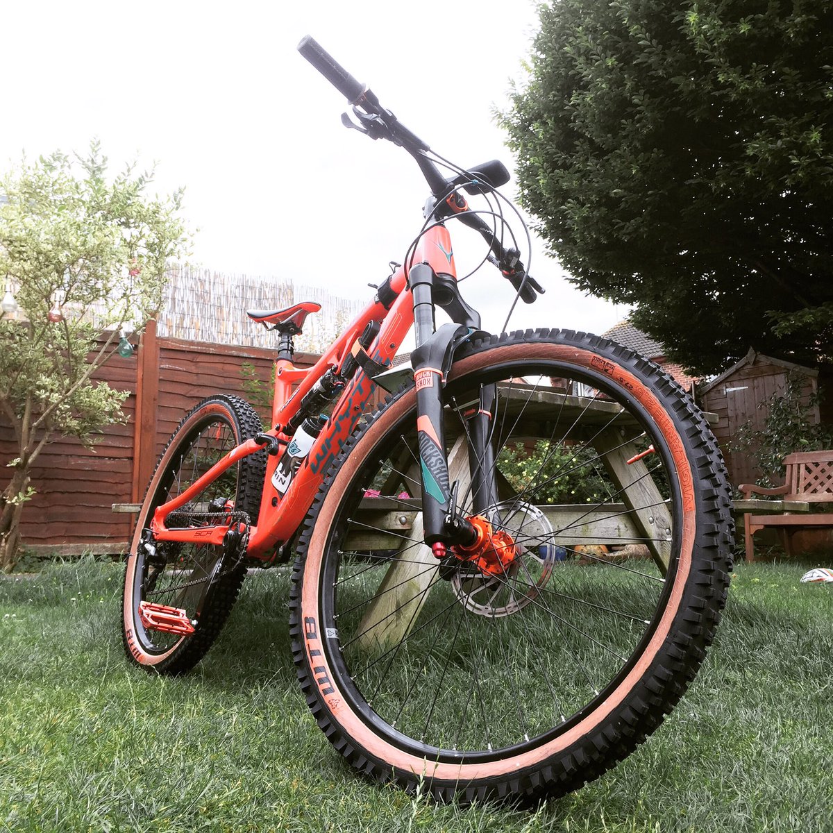 tan wall tires mtb