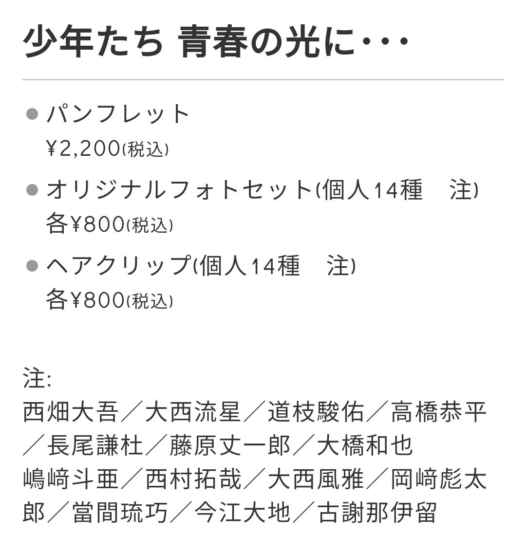 ノン 少年たち 青春の光に グッズ パンフレット 2 0 オリジナルフォトセット 個人14種 各 800 ヘアクリップ 個人14種 各 800 西畑大吾 大西流星 道枝駿佑 高橋恭平 長尾謙杜 藤原丈一郎 大橋和也 嶋﨑斗亜 西村拓哉 大西風雅 岡