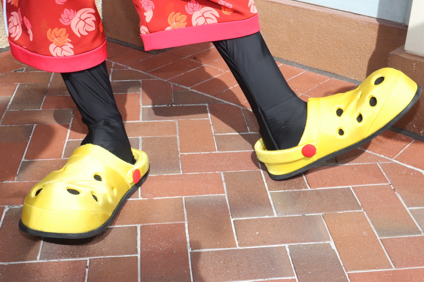 Goofy crocs hotsell