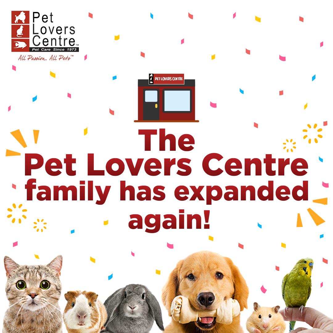 pet lovers centre dogs for sale