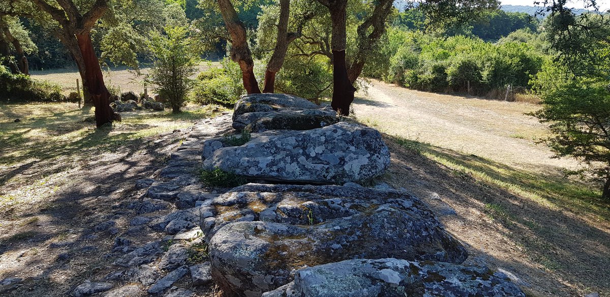 AlexanderVelky's tweet photo. Tomba dei giganti di Pascaredda, Calangianus. Pascaredda Giants' Tomb. Deep in the heart of North Sardinian cork country. Took ages to find this as I walked off for a mile up a dirt road in completely the wrong direction. #pascaredda #giantstomb #bronzeage #sardinia #sardegna https://t.co/gyfuwkO0Br