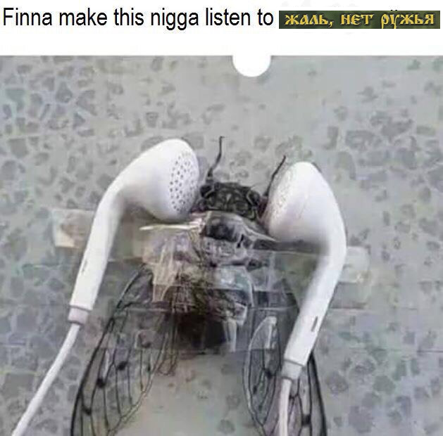 EA3Ng-YXoAEA8da?format=png&name=small