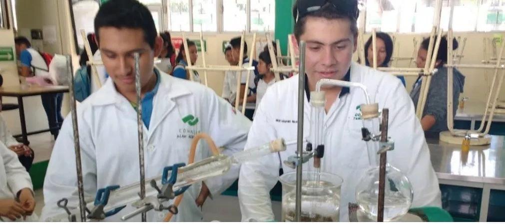 NoresteDigital's tweet photo. #EnPortada:
Alumno de @Conalep_Mx #Tamaulipas obtiene beca en Belice para estudiar inglés
https://t.co/337W75edZ0
#NLD #Reynosa #Matamoros #CdVictoria #Tampico #Madero #Altamira #Coahuila #CDMX #Edomex #Monterrey #Queretaro #SLP #Texas #Veracruz #FelizJueves #directoalafinal https://t.co/sEgOfaUtst