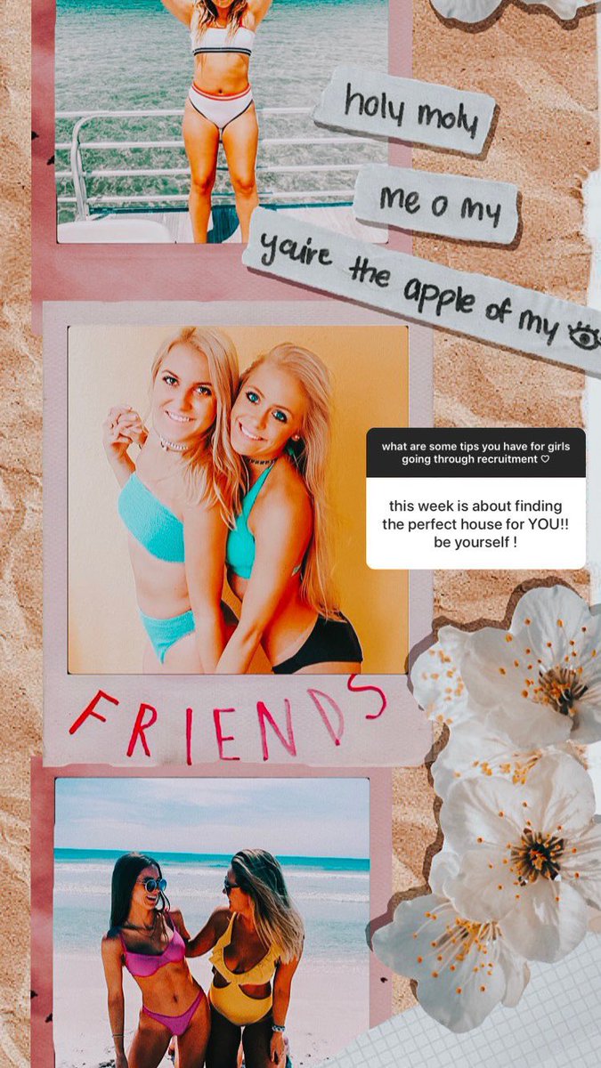 Aggie Delta Zeta tweet media