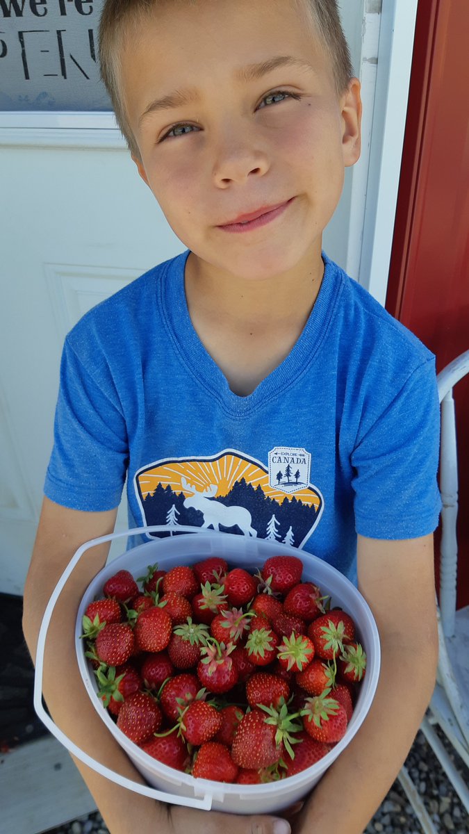 Alberta Farm Fresh tweet media