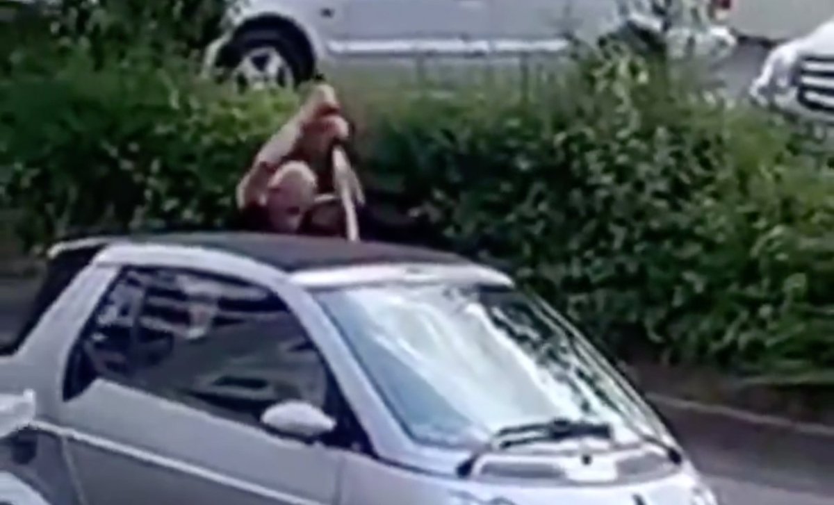 Alice_Weidel's tweet photo. Kinder werden vor Züge gestoßen, Frauen findet man mit 70 Messerstichen in Koffern und Männer werden mit Macheten auf der Straße abgeschlachtet... Man findet kaum noch Worte.
#Stuttgart https://t.co/jVLlyIZv1u