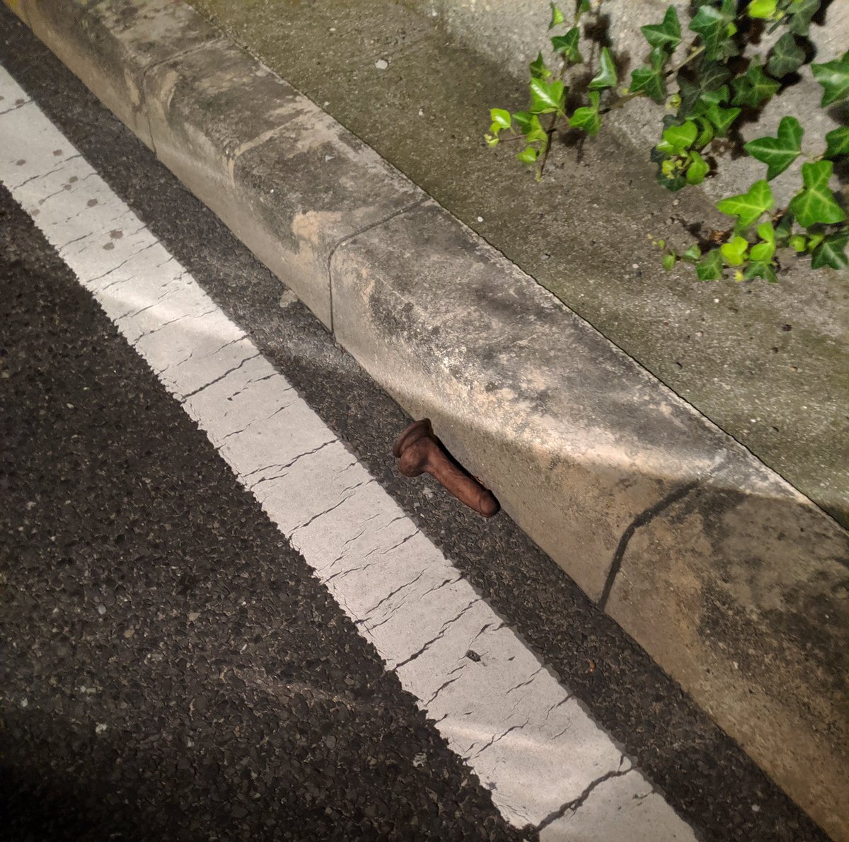 miharasin's tweet photo. 阪和道下の高架に落ちてた
ガチもんや思て
見た瞬間一人で叫んだ! https://t.co/1yaS8ef2Vp