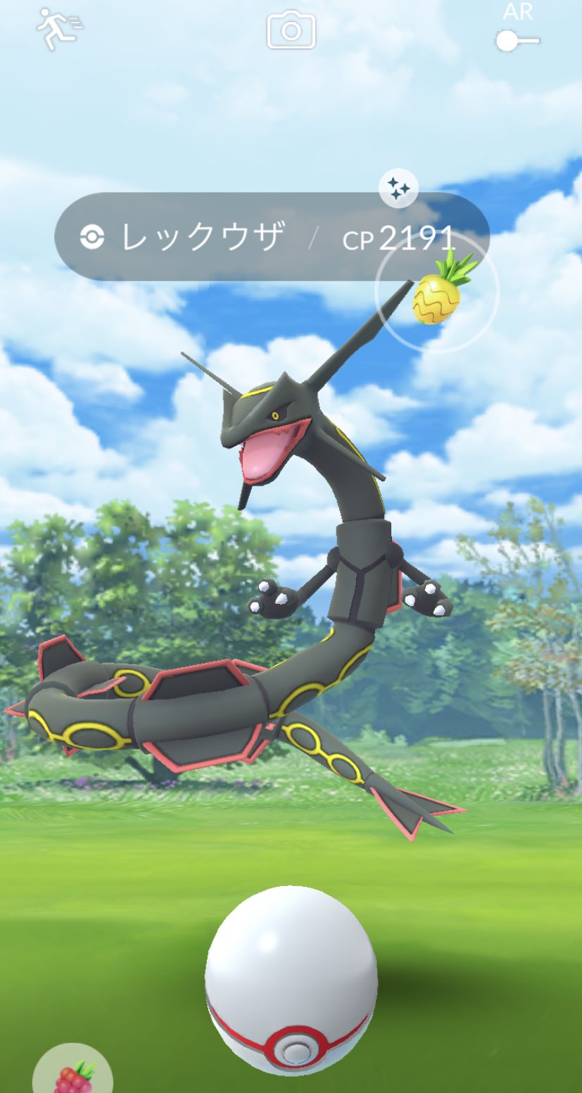Twitter 上的 さみ もふもふ 色違い100キターーーーー ポケ活していて今までで1番嬉しい ポケモンgo レックウザ 色違い 個体値100 T Co Zu5bxmkjok Twitter